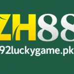 Zh88